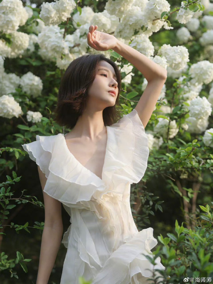 茄子影视